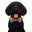 daleandjoshwedding.pages.dev favicon